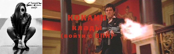 тгк Абаза