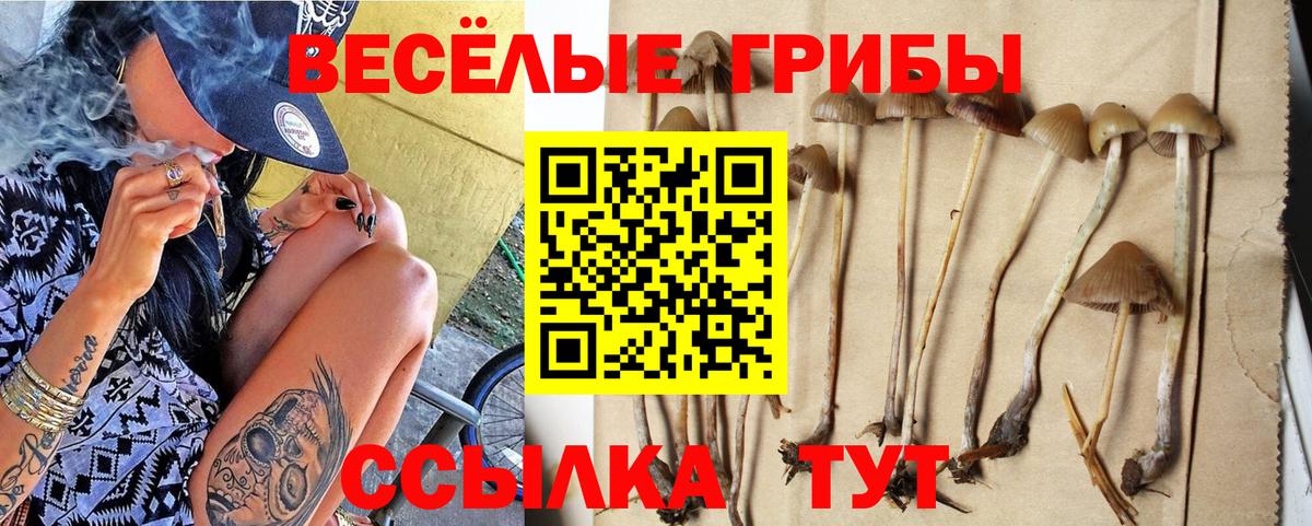 цена   Галлюциногенные грибы GOLDEN TEACHER  Вход с VPN  Ангарск 